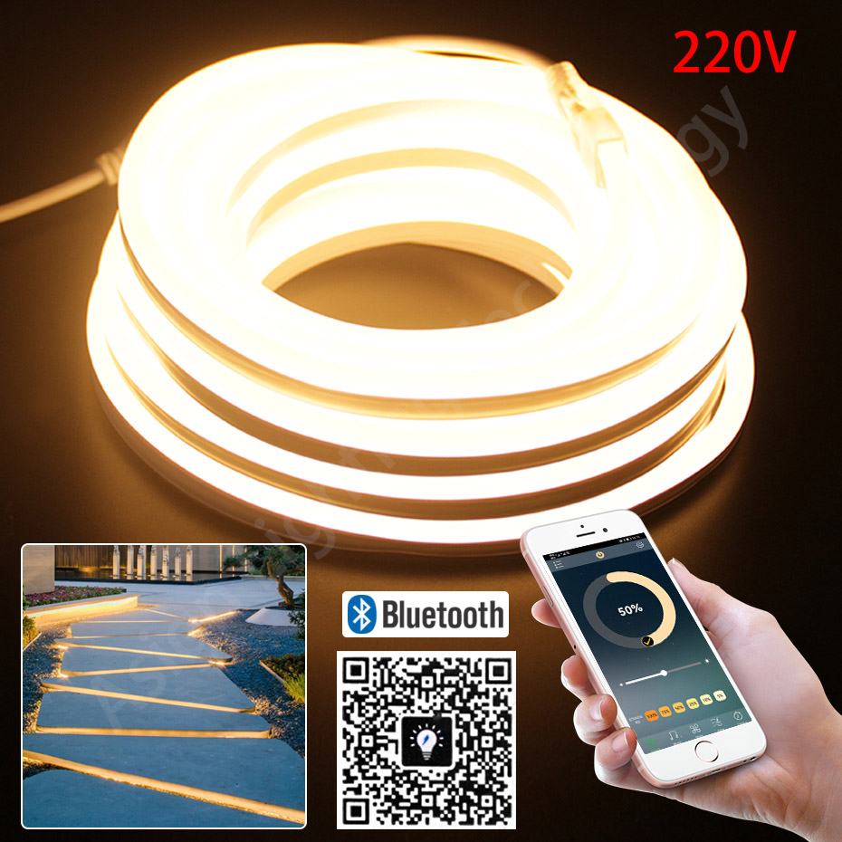 LED Neon Strip 220V 2835 120 L - Outdoor Power Strip Weatherproof recension och pris